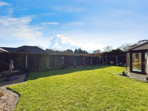 CONIFER CLOSE- click for photo gallery